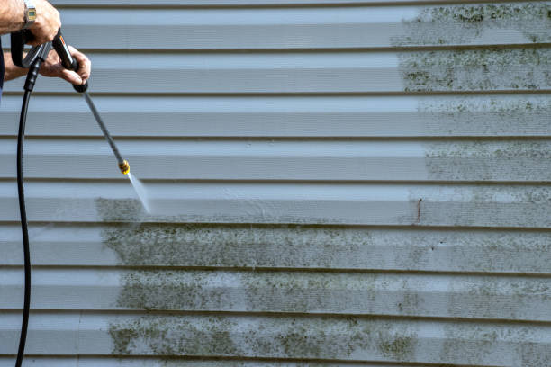 Affordable siding repair and maintenance services in Champion Heights, OH